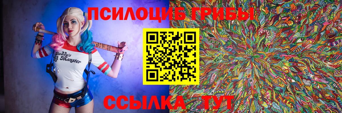Галлюциногенные грибы Psilocybine cubensis Гулькевичи
